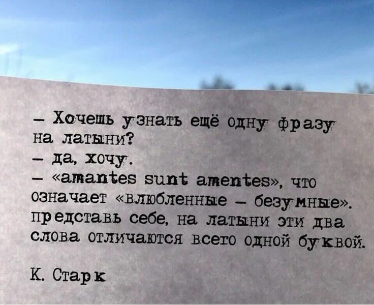 Аментес. Amantes sunt amentes перевод. Амантес сент аментес. Amantes amentes перевод. Amantes sunt amentes перевод.