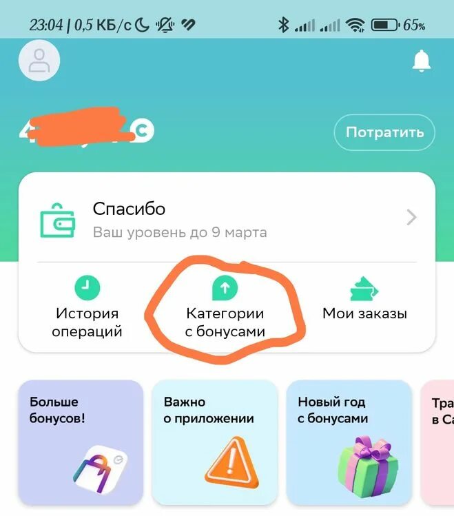 Почему не начислили бонусы спасибо. Бонусы спасибо категории. Начислили 2500 бонусов спасибо за что. История начисления бонусов Сбер спасибо в приложении где найти.
