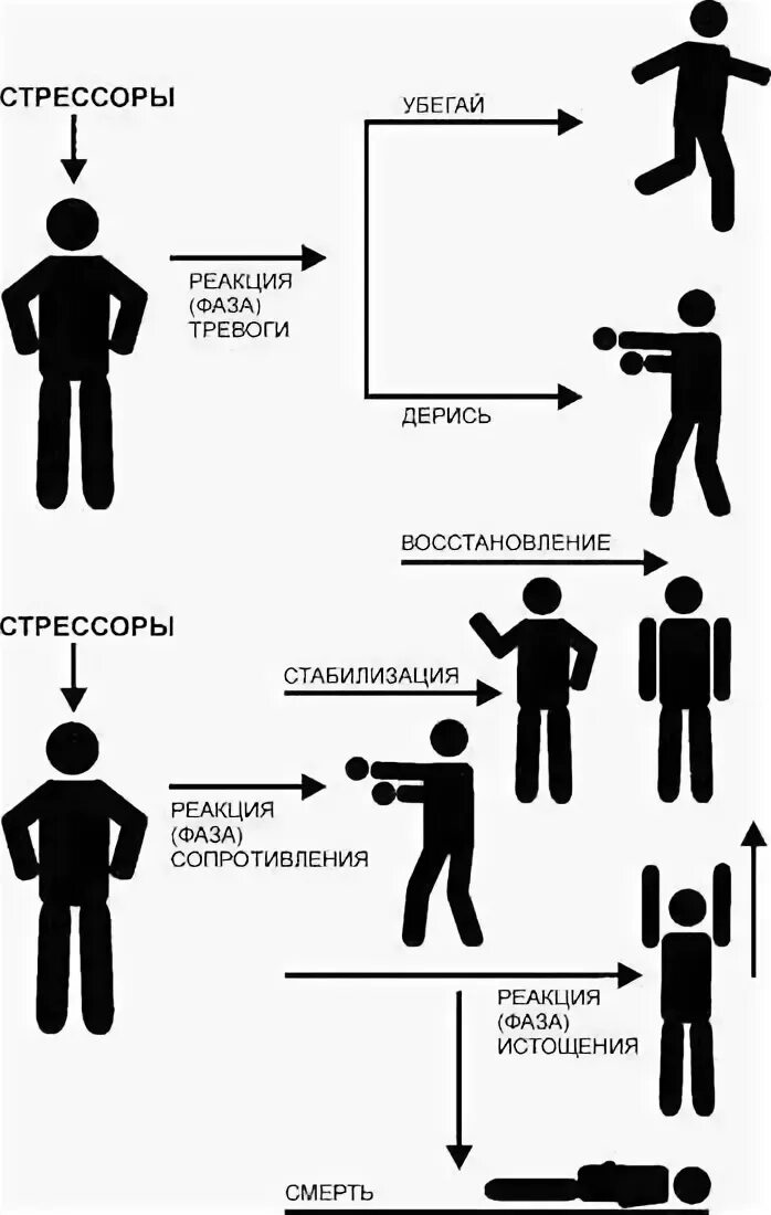 Реакционный человек. Реакция на стресс. Стрессовая реакция физиологическая. Реакция человека схема. Виды реакций на стресс.