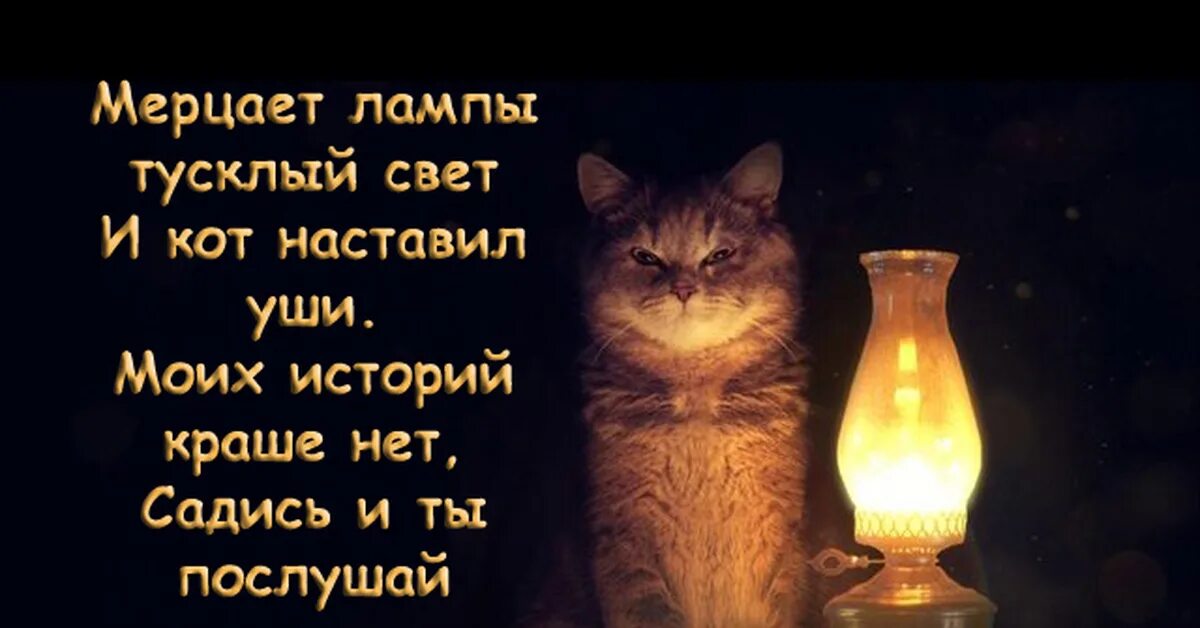 Лампа кот. Кот лампа истории. Котик с лампой. Кот с лампой настало время историй. Тусклый свет текст