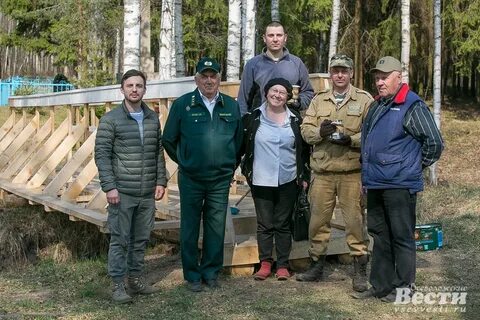 Лесничество во всеволожске