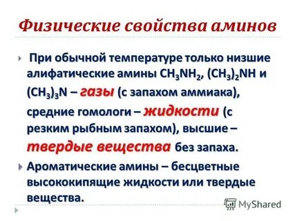 Амины свойства кратко