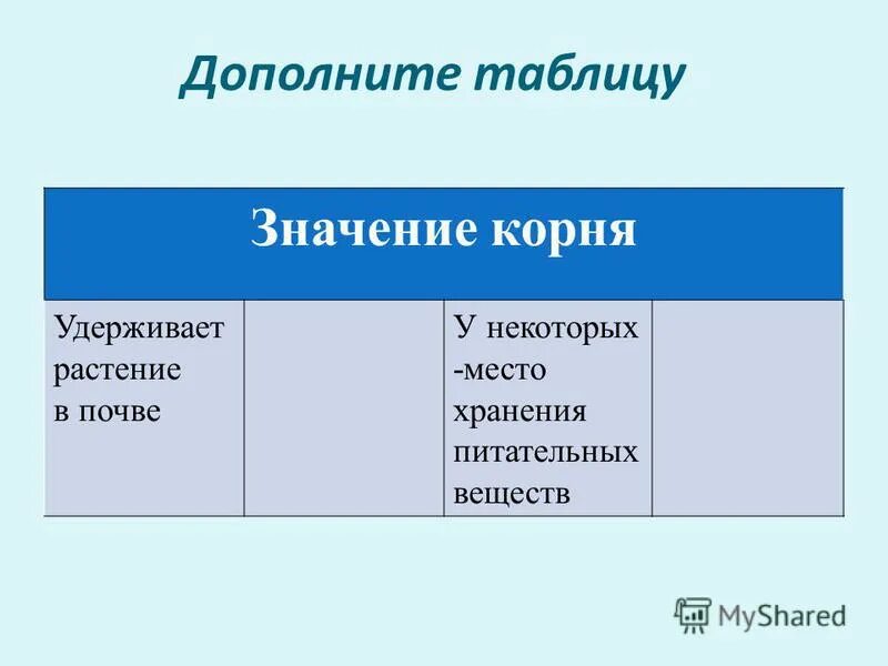 Строение и значение корня 6 класс. Значение корня. Дополните таблицу. Значение корня для растения. Значение корня в жизни растения.