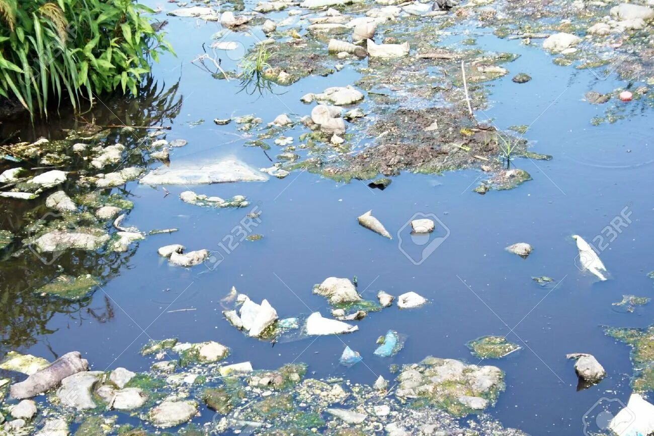 Биологические загрязнители воды. Биологическое загрязнение воды. Бактериальное загрязнение воды. Биологическое загрязнение поверхностных вод. Биологическое природное загрязнение