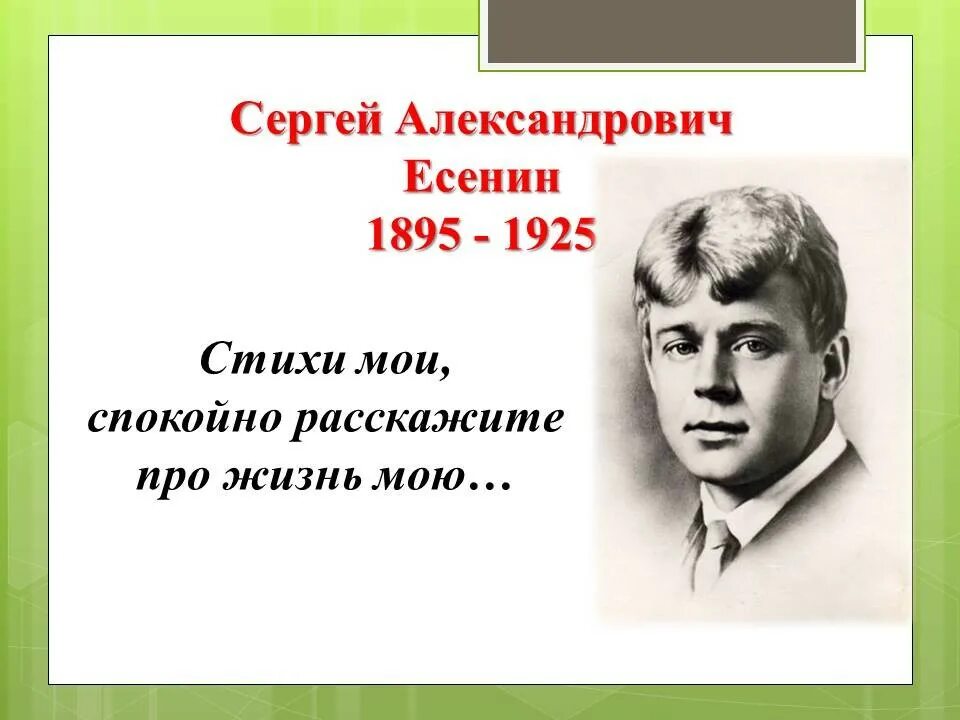 Сергея Александровича Есенина (1895–1925).. Я покинул родимый дом основная мысль стихотворения