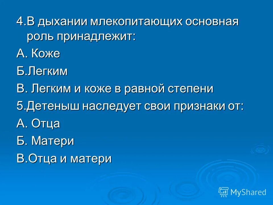 Дыхательная система ластоногих. Как дышат млекопитающие. Система органов дыхания собаки легкие. Дыхательная система млекопитающих схема биология 7 класс. Схема строения дыхательной системы млекопитающих.