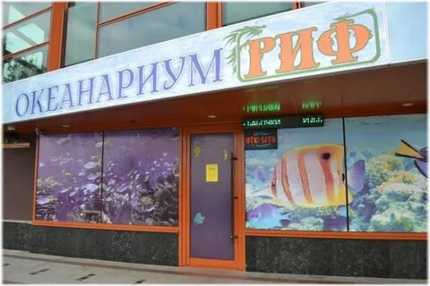 Океанариум риф анапа