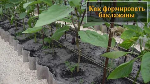 Сформировать видео