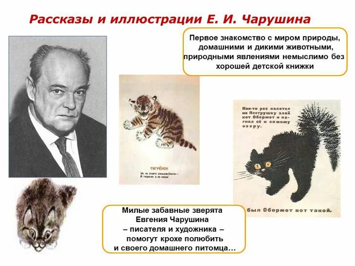 Биография чарушина кратко