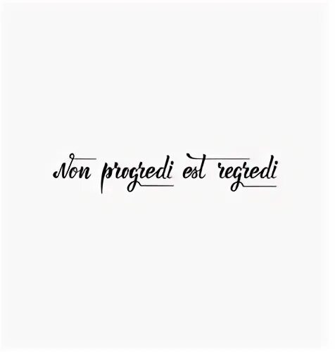 Non progredi est regredi. Non progredi est regredi тату. Non progredi est regredi перевод. Struna non progredi est regredi.