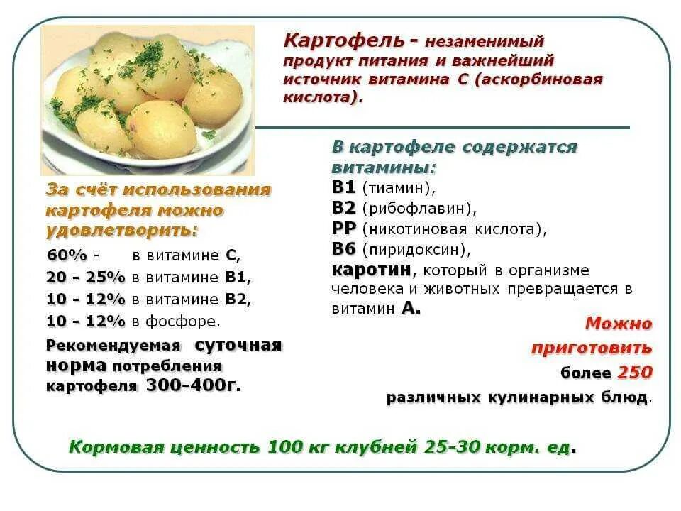 Сколько есть картошкой. Сколько содержится витамина с в картофеле. Какие витамины есть в картофеле. Содержание витамина с в картофеле. Картофель витамины на 100 грамм.
