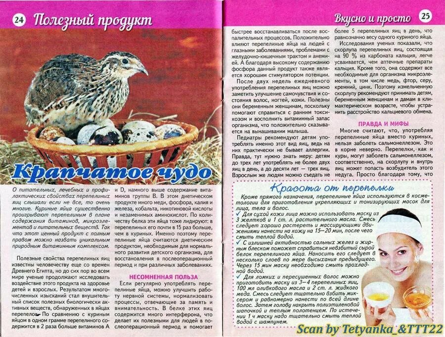 Можно ли есть сырые перепелиные. Перепелиное яйцо детям с какого возраста. с какого возраста можно давать ребёнку перепелиные яйца. перепелиные яйца с какого возраста можно для детей. с какого возраста можно давать ребёнку яйцо куриное.
