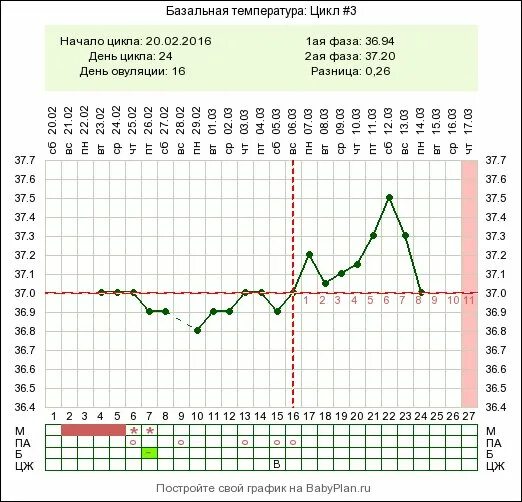 Сколько температура при беременности. График базальной температуры до задержки. Беременный график базальной температуры до задержки. График БТ при беременности до задержки. График базальной температуры беременной до задержки.