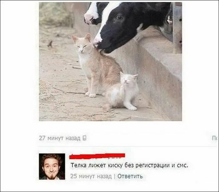 красивый двор. хонка канада. без регистрации и смс дома. смс и регистрации без смс и регистрации. без регистрации и смс дома.