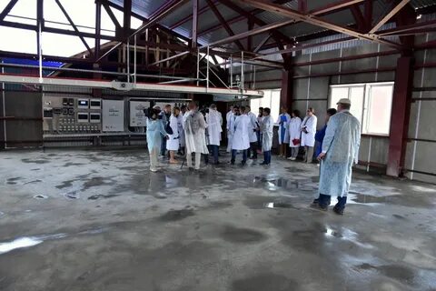 Птицефабрика южная