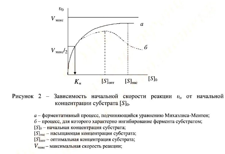 Зависимость ферментов от концентрации субстрата. Зависимость скорости реакции от концентрации субстрата. График зависимости скорость реакций - концентрация субстрата. График скорости ферментативной реакции от концентрации субстрата. График зависимости ферментативной реакции от концентрации субстрата.