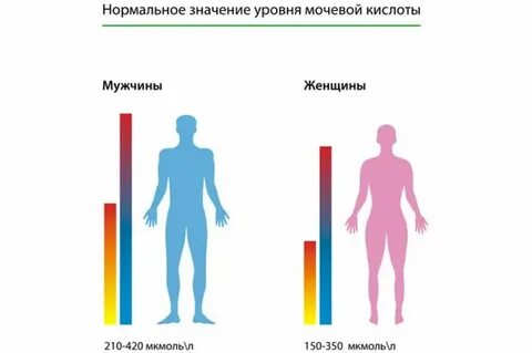 Мочевая кислота в почках повышена