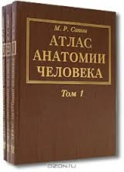 Атлас анатомии сапин 1 том. Атлас анатомии человека 3 том сапин. анатомия человека в 3 томах сапин. атлас нормальной анатомии человека сапин.