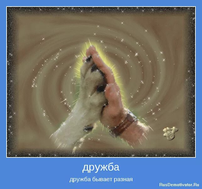 дружба бывает разной. дружба. женская дружба. дружба подруг. настоящие подруги.