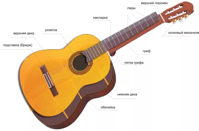 Гитара акустическая названия. Строение гитары классической 6 струнной. Строение 6 струнной гитары. Строение гитары акустической. Устройство классической гитары схема.