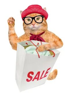 Cat sales