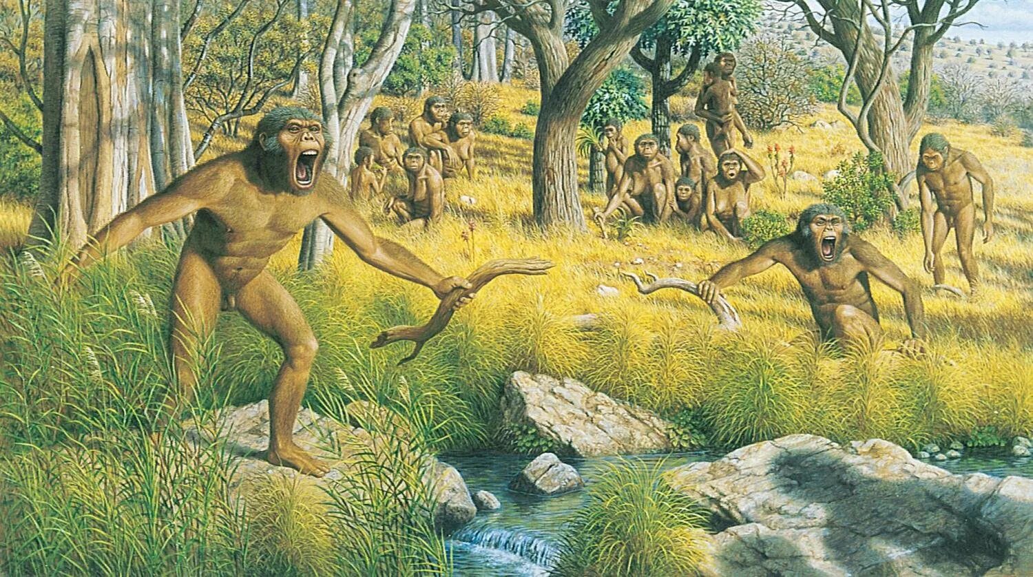 1 предок человека. Неоген австралопитеки. Австралопитеки гоминид. Древние люди австралопитеки. Австралопитек Южная обезьяна.