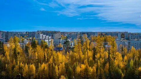 Северный город усть илимск