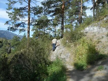 Козьи тропы алтай