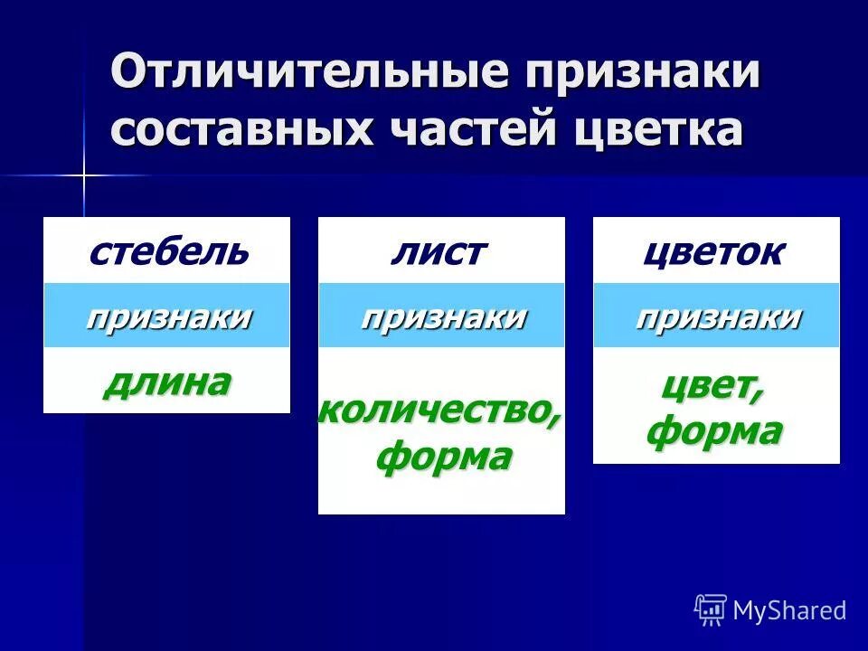 подбери слова обозначающие признаки предмета. признак предмета примеры. цветок признаки предмета. наглядность на тему части речи. признаки предметов цвет форма размер для детей.