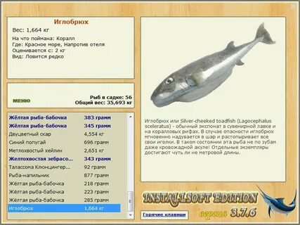Где ловить иглобрюха