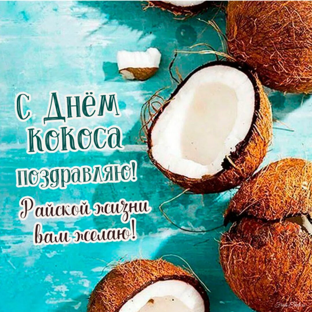 Открытки день кокоса. Всемирный день кокоса (world coconut day). Праздник кокоса. Золотой кокос. 356 дней с кокосом.