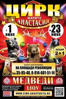 Расписание программы цирка