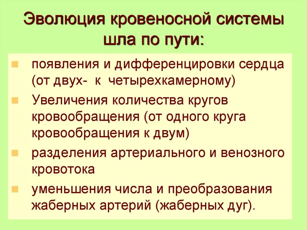 Филогенез органов. Эволюция кровеносной системы. Основные направления эволюции кровеносной системы. Эволюция кровеносной системы системы. Основные направления эволюции кровеносной системы позвоночных.