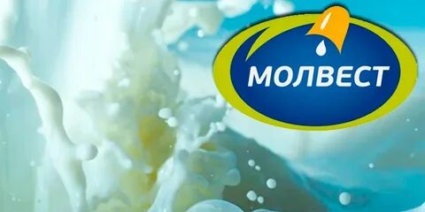 Молвест воронеж