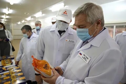 Новая утка