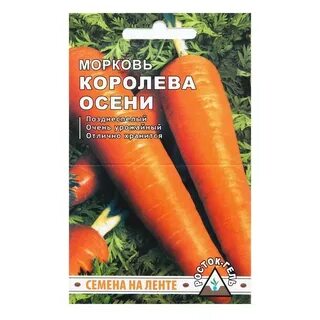 Морковь сорт королева осени отзывы