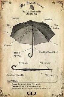 Umbrella перевод