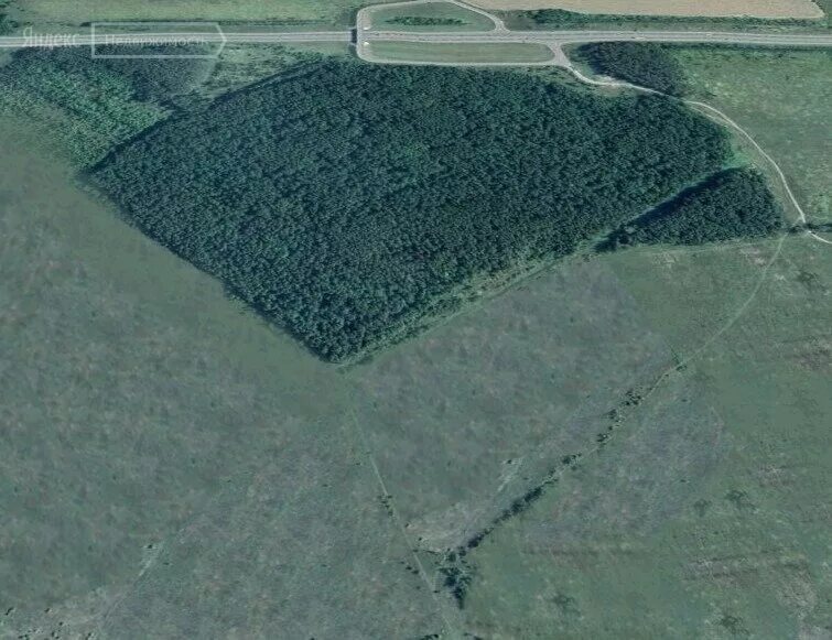 земля 18 гектаров. деревня урдово касимовского района. сосновка тульская область веневский район. земля 18 гектаров. земля 18 гектаров.