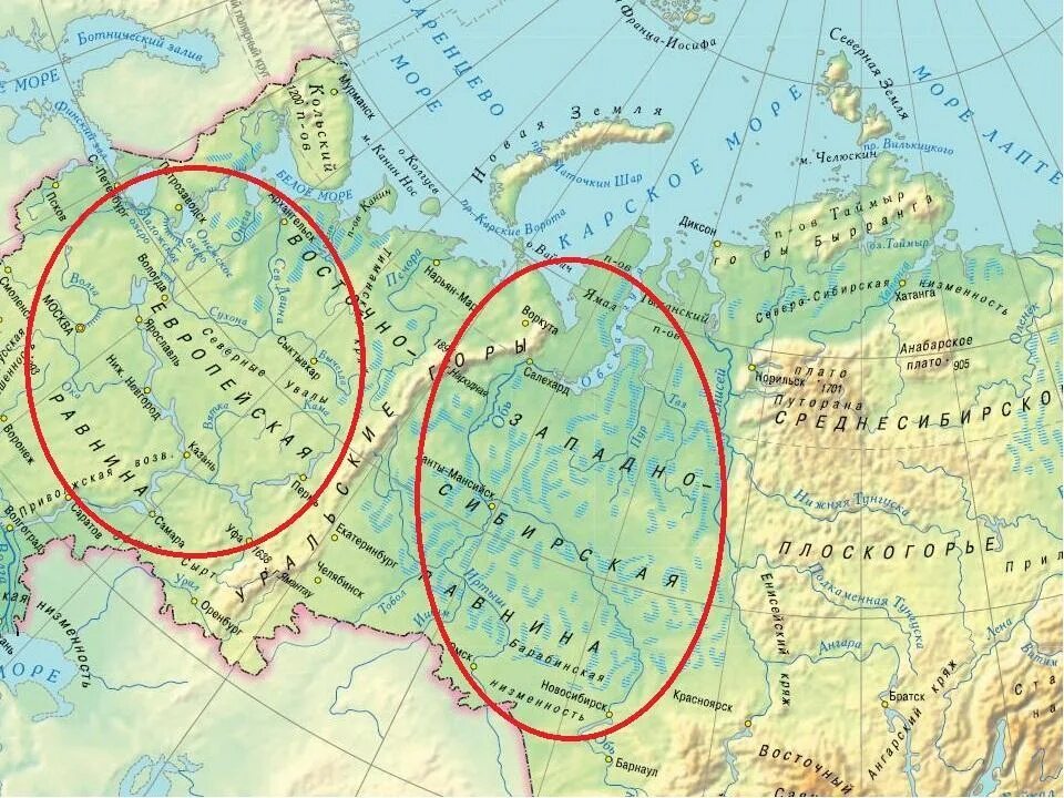 Западно Сибирская низменность на карте. Низменности Западно сибирской равнины на карте. Западно-Сибирская низменность на карте физической. Западно-Сибирская низменность на карте России. Выберите город расположенный в западной сибири