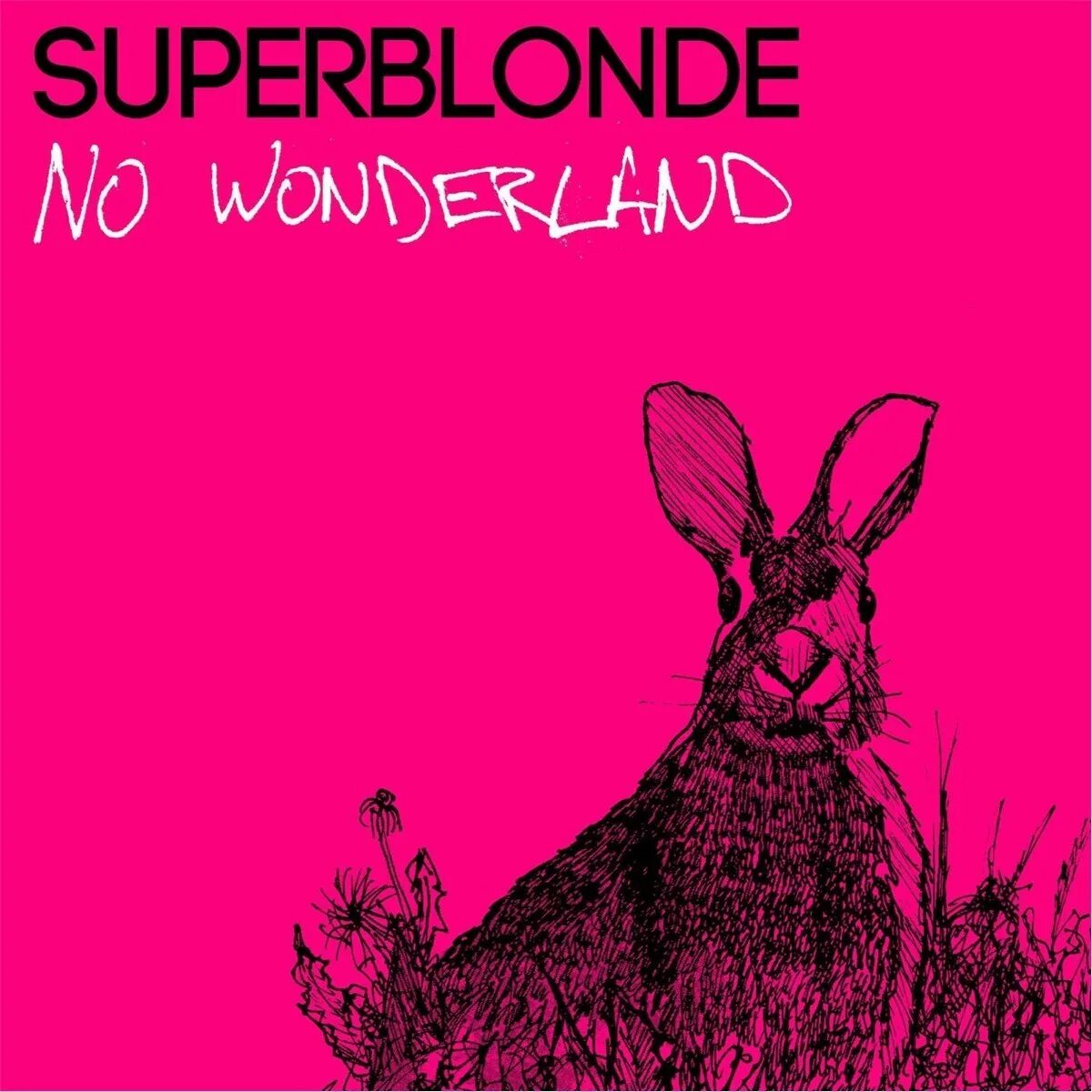 Wonder no more. No wonder. но вандер. wonderland mp3.