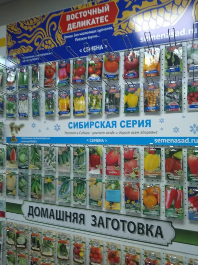 Дивный сад алавар. Дивный сад вологда. Дивный сад игра. Игра дивный сад академия ремонта. Дивный сад старый оскол меню.