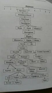 Рулар шежіресі