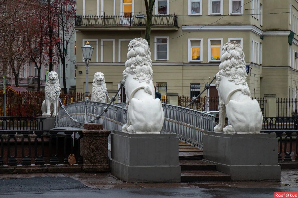 Мост со львами в питере. Львиный мост санкт-петербург. львиный мостик в санкт-петербурге. канал грибоедова санкт-петербург львиный мост. львиный мостик на канале грибоедова.