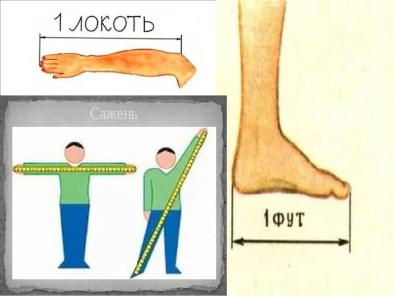 11 сколько см в длину. Сантиметр мера длины. Сантиметр единица измерения длины 1 класс. Меры длины картинки для детей. Длина от кончика пальца до локтя.