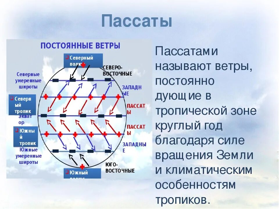 Преобладающие ветра россии. Схема образования ветров пассатов. Пассат ветер. Схема движения воздушных масс. Пассаты в Южном полушарии.