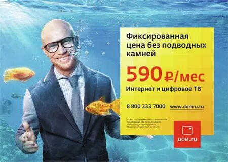 Домру пермь