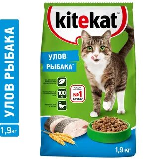 Корм для кошек 1