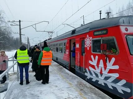 Лыжная стрела 2024