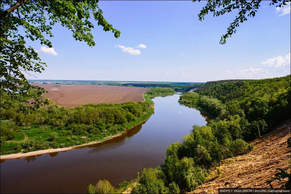 Лысая гора кривоборье. Урочище кривоборье. Лысая гора воронеж кривоборье. Берег реки дон воронеж. Сторожевое воронежская область.