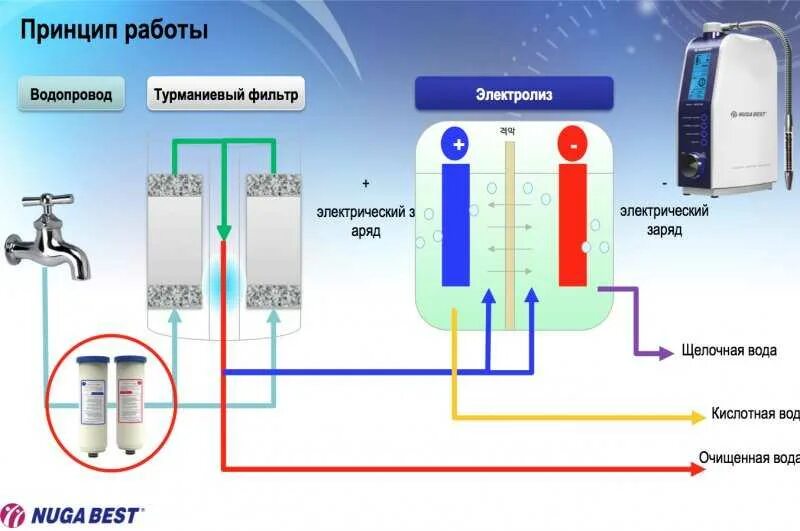 Как получить щелочную воду в домашних условиях. Принцип ионизации воды. Аппарат вода аппарат Живая и мертвая вода схема. Принцип работы ионизатора воды. Электросхема ионизатора воды.